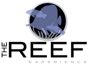 The Reef Experience