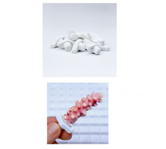 Seachem Coral Plugs - 12 Pieces