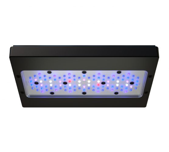 Ecotech Radion XR15w & XR30w BLUE G6 LED