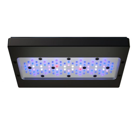 Ecotech Radion XR15w & XR30w BLUE G6 LED