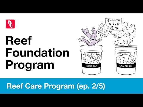 Red Sea Magnesium Pro - Titrator Test Kit