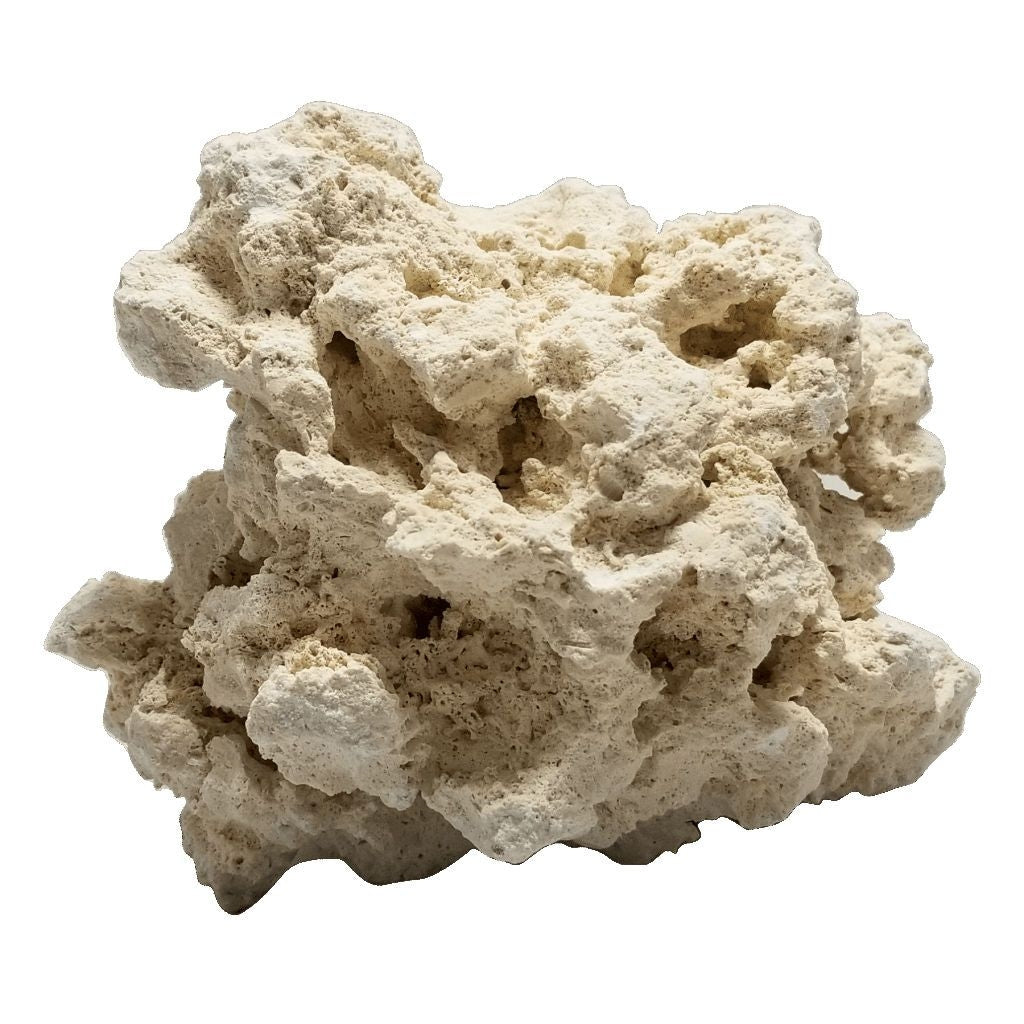 Hugo Dry Ocean Reef Rock 9-12cm 20kg Box