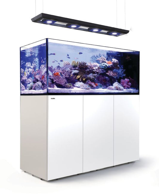 Red Sea Reefer Peninsula 650 Deluxe 4 X ReefLED 90