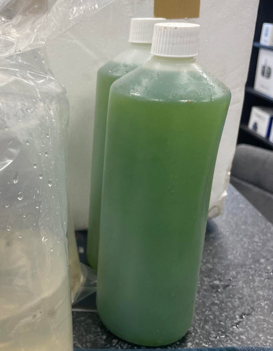 Phytoplankton (Nannochloropsis) 1Litre Bottle (Saltwater Algae)