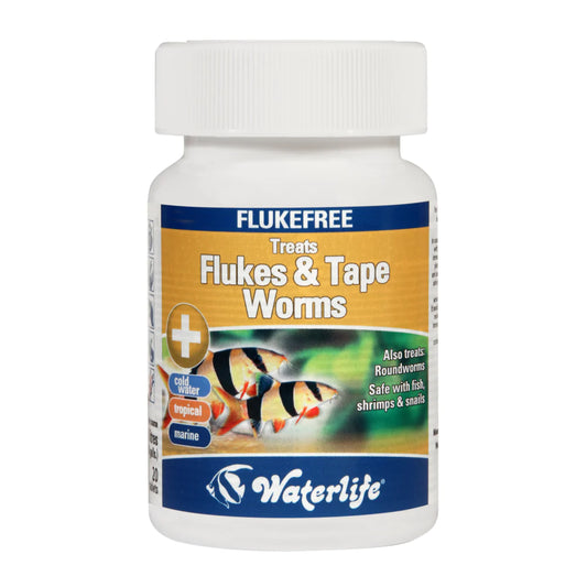 Waterlife Flukefree treats Flukes & Tape Worms