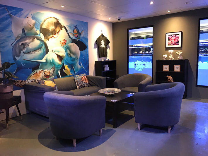 The Reef Experience Store
