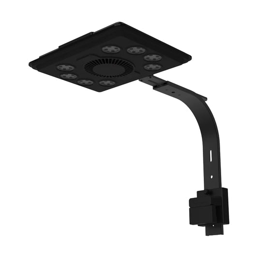 MAXSPECT JUMP MJ-L290 BLUE LED