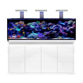 D-D Reef Pro 1800 Aquarium