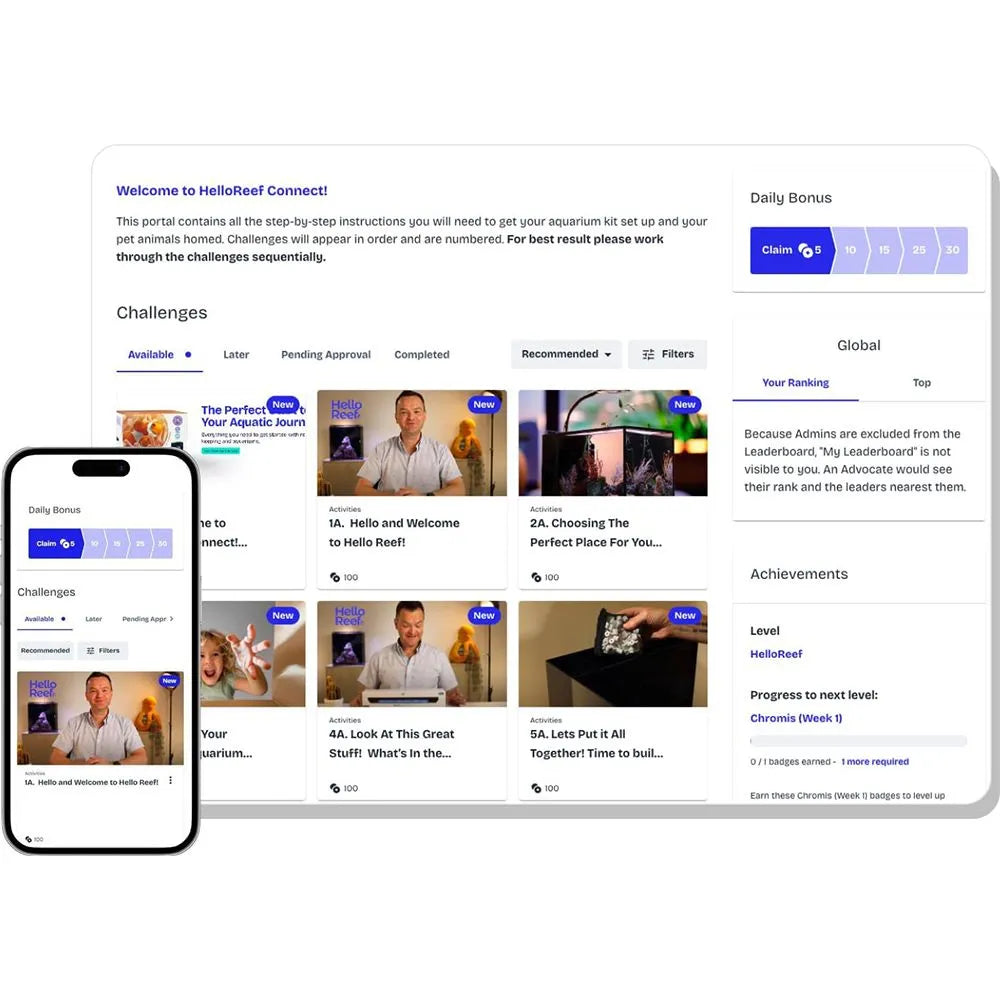 HELLOREEF CLOWNFISH & ANEMONE AQUARIUM KIT