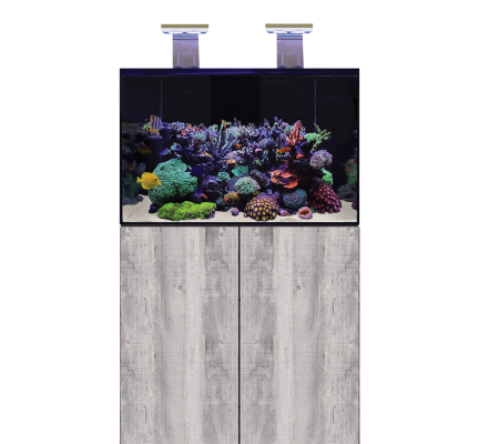 D-D Aqua Pro Reef Aquarium 900
