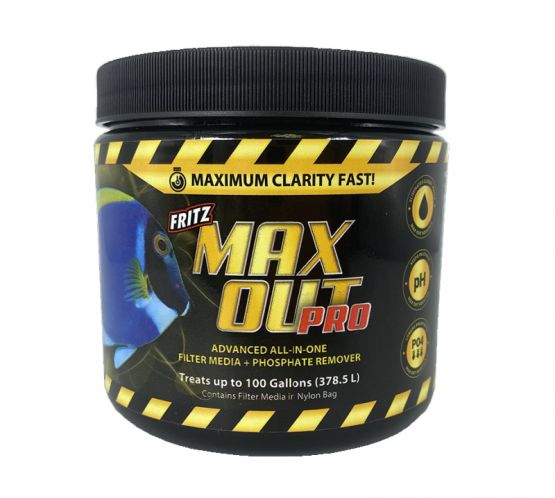 Fritz MAXOUT PRO 16oz