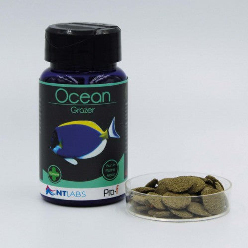 NT Pro-F Ocean Grazer