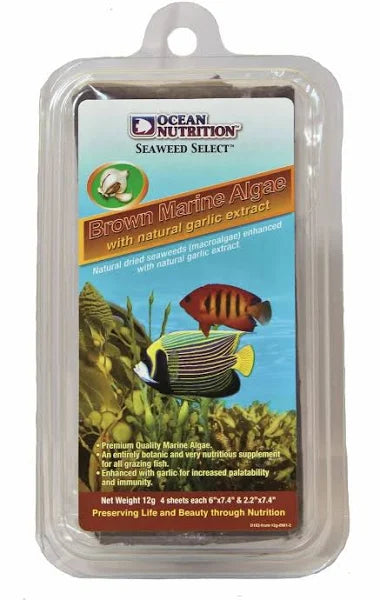 Ocean Nutrition Brown Seaweed 12g